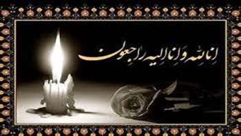 درگذشت استاد فرهیخته شیمی آلی دانشگاه سمنان، پروفسور نقی سعادت جوی عصر